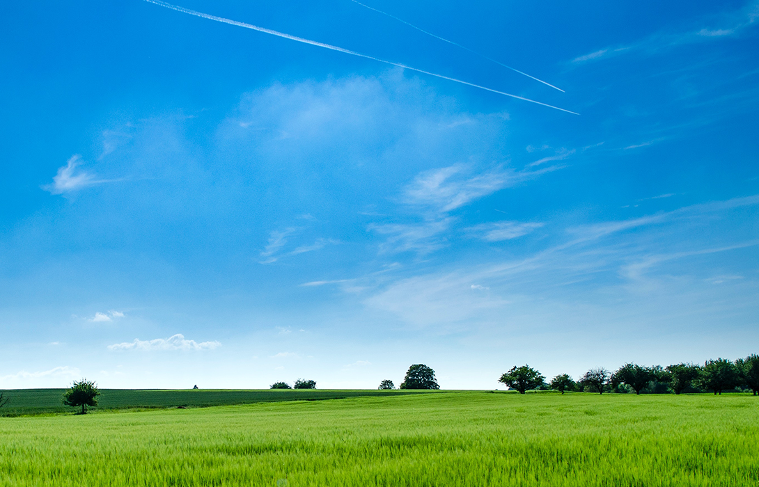 日韩做A爰片久久毛片A片小说
